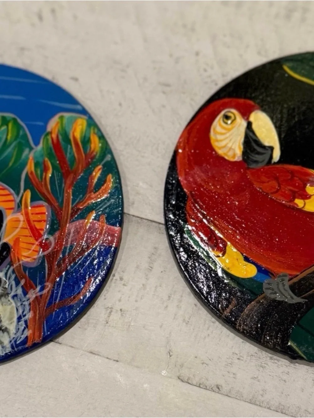 Pair of Colorful Hand Painted 5” Parrot and Fish Animal Coasters